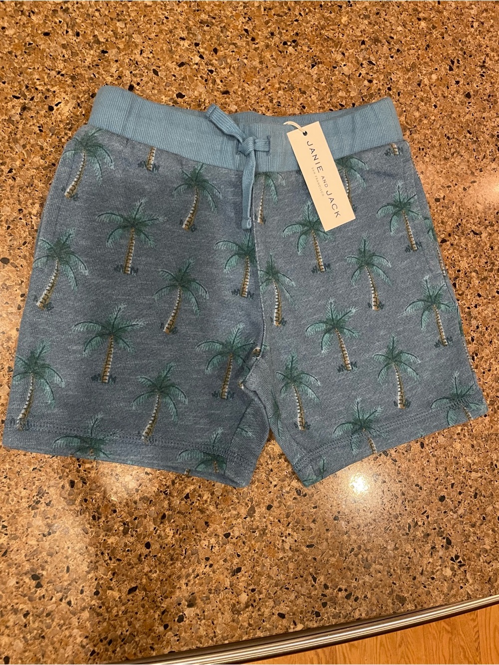 Janie and Jack Blue Palm-Print Athletic Shorts